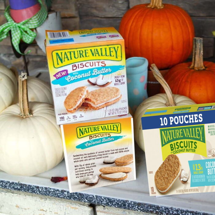 Nature Valley Biscuits with Coconut Butter , 1.35 Oz Per Pack - Image 1